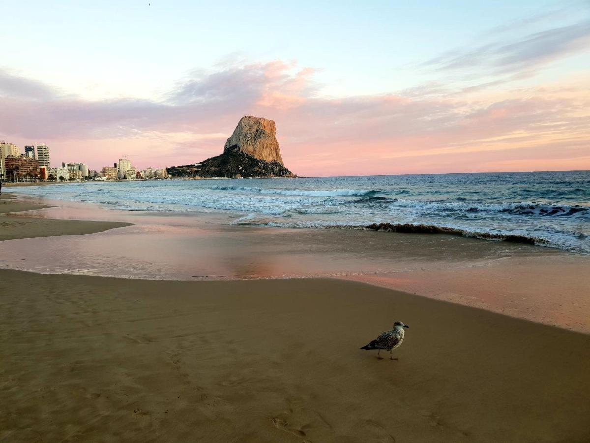 By The Beach كاليبي المظهر الخارجي الصورة